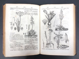 Antique Encyclopedia 1867 COMPLETE 25 Volumes Illustrated 19th XIX Century Paris