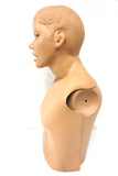 Gaumard Medical Manikin Torso & Head Set 2', CPR Sima Model, Nursing Students