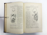 Antique 1894 Medical Obstetrics Book by Lepage/Ribemont, 476 Illustrations, Childbirth