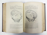 Antique 1894 Medical Obstetrics Book by Lepage/Ribemont, 476 Illustrations, Childbirth