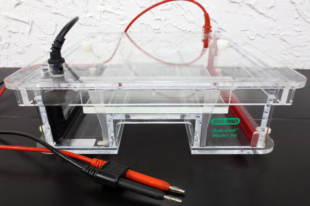 Bio-Rad Sub Cell Model 96 Large 30cm Electrophoresis Cell w/ Gel Tray and Leads