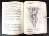 Antique 1920 Anatomy Dissection Medical Book by Rouvière 197 Illustrations Paris