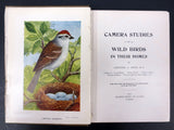 Antique 1911 Wild Birds Book Chester Albert Reed Ornithologist 200 Illustrations