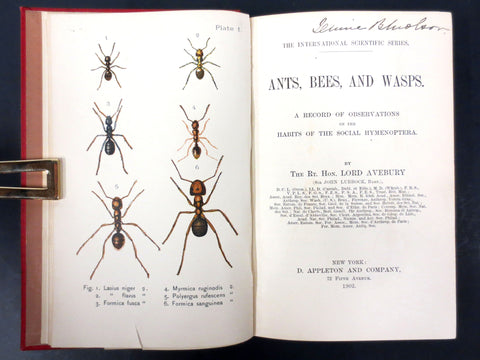 Antique 1902 Book on Ants Bees and Wasps by Lord Avebury, Molson Brewery Library