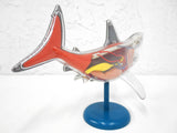 Anatomic Shark Fish Model 10" Long, Realistic Transparent See Through Internal Organs, On Stand, Becker & Mayer