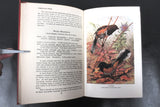 Antique 1922 Bird Neighbors Book by Neltje Blanchan, Color and B&W Plates