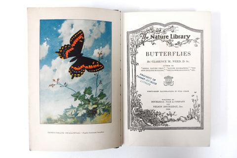 Antique Book on Butterflies by Dr Clarence Weed, 48 Full Color Illustrations